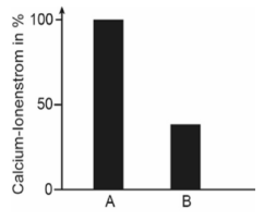 Balkendiagramm zum Calcium-Ionenstrom mit den Balken A und B.